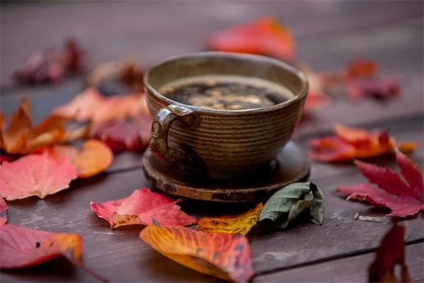 トレリスの選び方とおすすめ7選：あなたの庭に合うのはどれ？