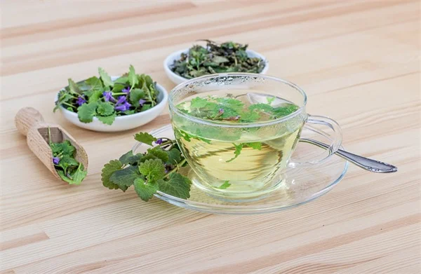 天竺葵の芽虫対策は今すぐできる！手作業と殺虫剤の賢い使い分け方