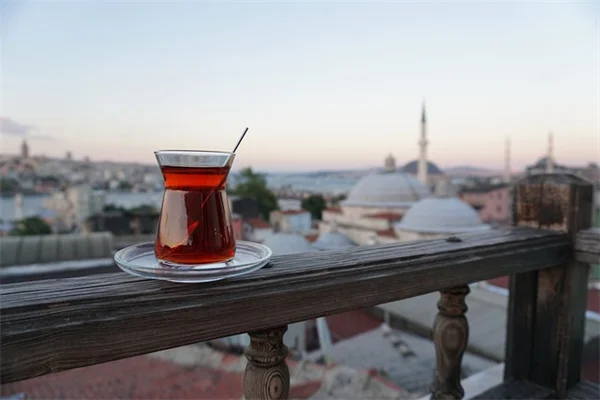 Ina Gartenの英国風ガーデン、7つの植物で作る方法【実体験レポート】