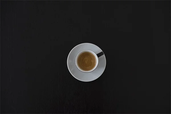 コンテナビールガーデンに挑戦！私が実践したホップと大麦の育て方のコツ