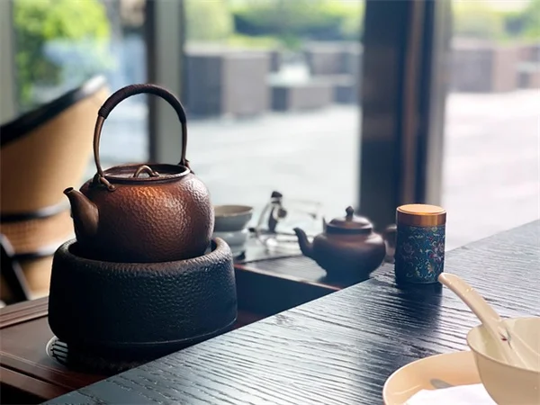 節日後に見捨てる前に試すべき4つの人気植物の復活法