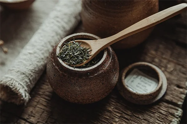 割れた鉢を捨てるのはもったいない！倒花盆の作り方とおすすめ植物